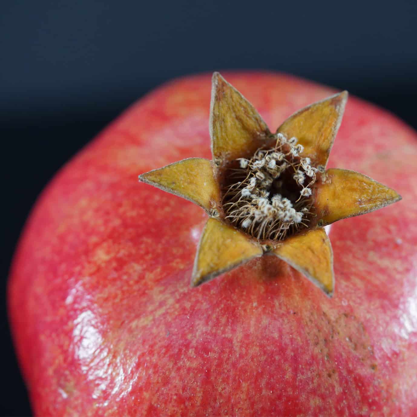 Granatapfel Grana
